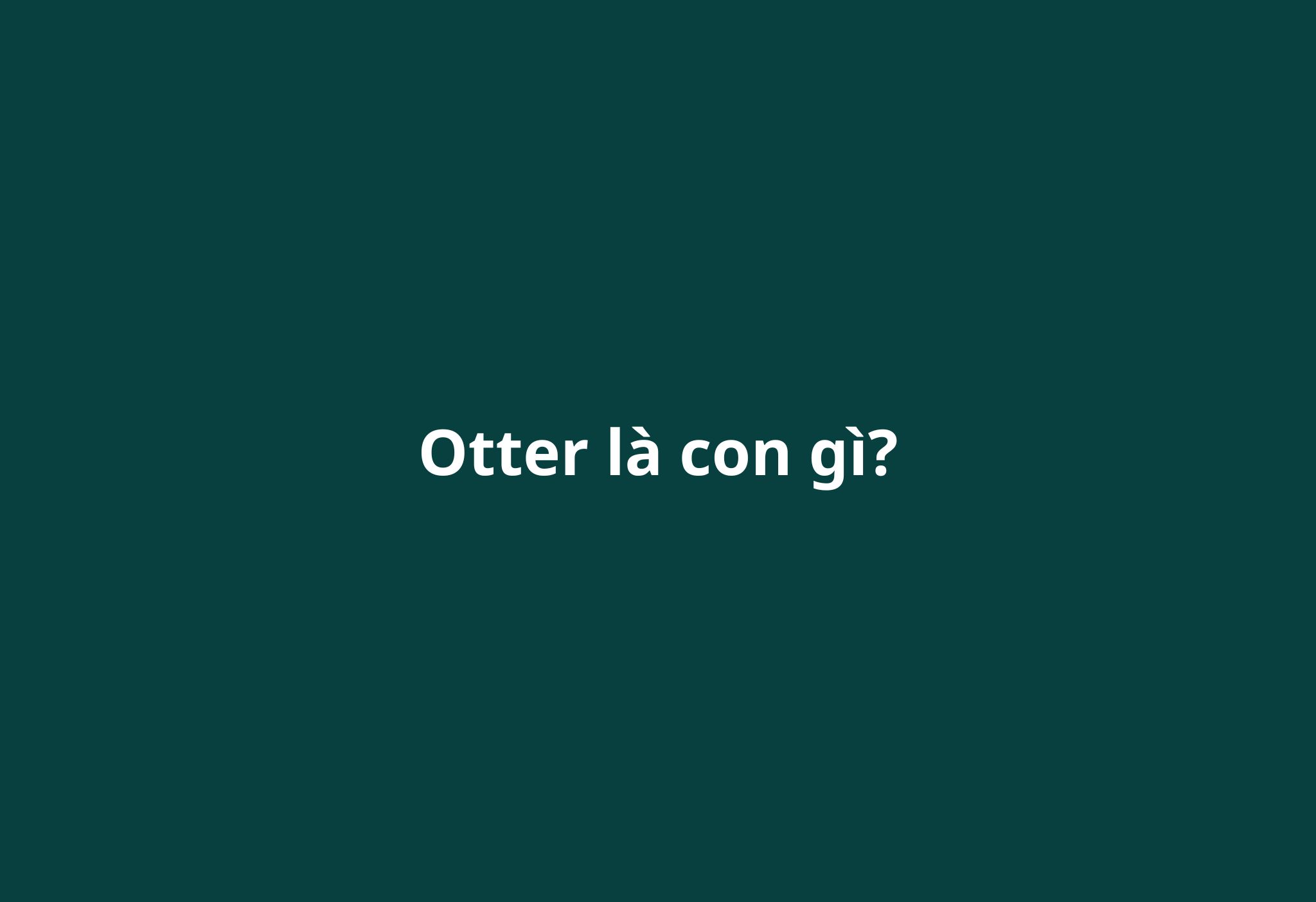otter-la-con-gi